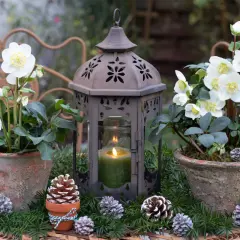 Vinterträdgården lyser med vita julros perenn blommor bredvid en gammal lykta med ett grönt ljus. Kottepynt och granris skapar en mysig julkänsla.