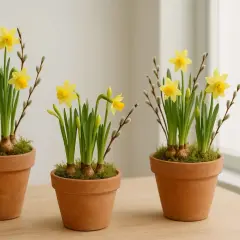 Tre terrakottakrukor med påskliljor och videkissar. En härlig vårscen, nästan som en liten "tete a tete" mellan blommorna.