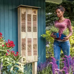 En kvinna håller lavendelplantor bredvid ett insektshotell. Runtomkring finns blommor som bin gillar, som röda oleandrar och lila salvia.