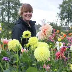 En kvinna ler i en blomsteräng med många dahlior. En vacker april blomma lyser upp bilden.
