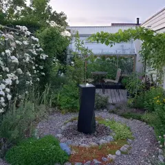 En lummig trädgård med en fontän, klätterrosor och ett växthus. Kanske en plats där sidensvans mat kan hittas bland bären.
