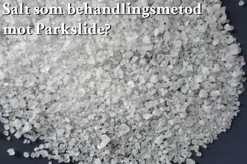 En stor hög med grovt salt. Frågan ställs om salt som behandlingsmetod mot parkslide.