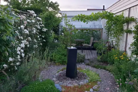 En lummig trädgård med en fontän, klätterrosor och ett växthus. Kanske en plats där sidensvans mat kan hittas bland bären.