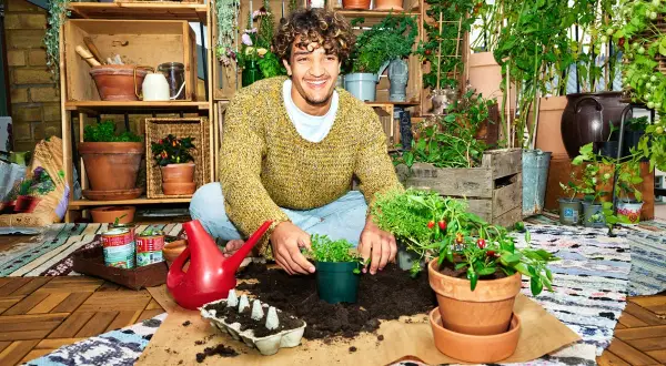 Glad man planterar örter för att odla inomhus. Hyllor med krukor och växter i bakgrunden.