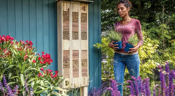 En kvinna håller lavendelplantor bredvid ett insektshotell. Runtomkring finns blommor som bin gillar, som röda oleandrar och lila salvia.