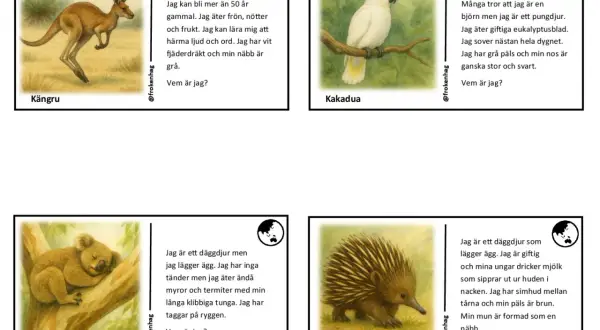 Myrpiggsvin med taggigt, ollonborre-liknande hår. Den lägger ägg och äter myror med sin långa tunga.
