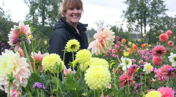En kvinna ler i en blomsteräng med många dahlior. En vacker april blomma lyser upp bilden.