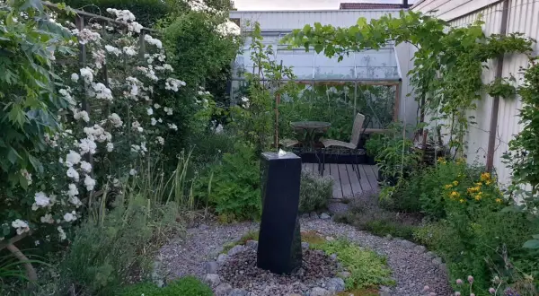 En lummig trädgård med en fontän, klätterrosor och ett växthus. Kanske en plats där sidensvans mat kan hittas bland bären.