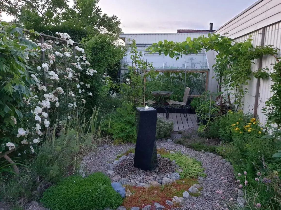 En lummig trädgård med en fontän, klätterrosor och ett växthus. Kanske en plats där sidensvans mat kan hittas bland bären.