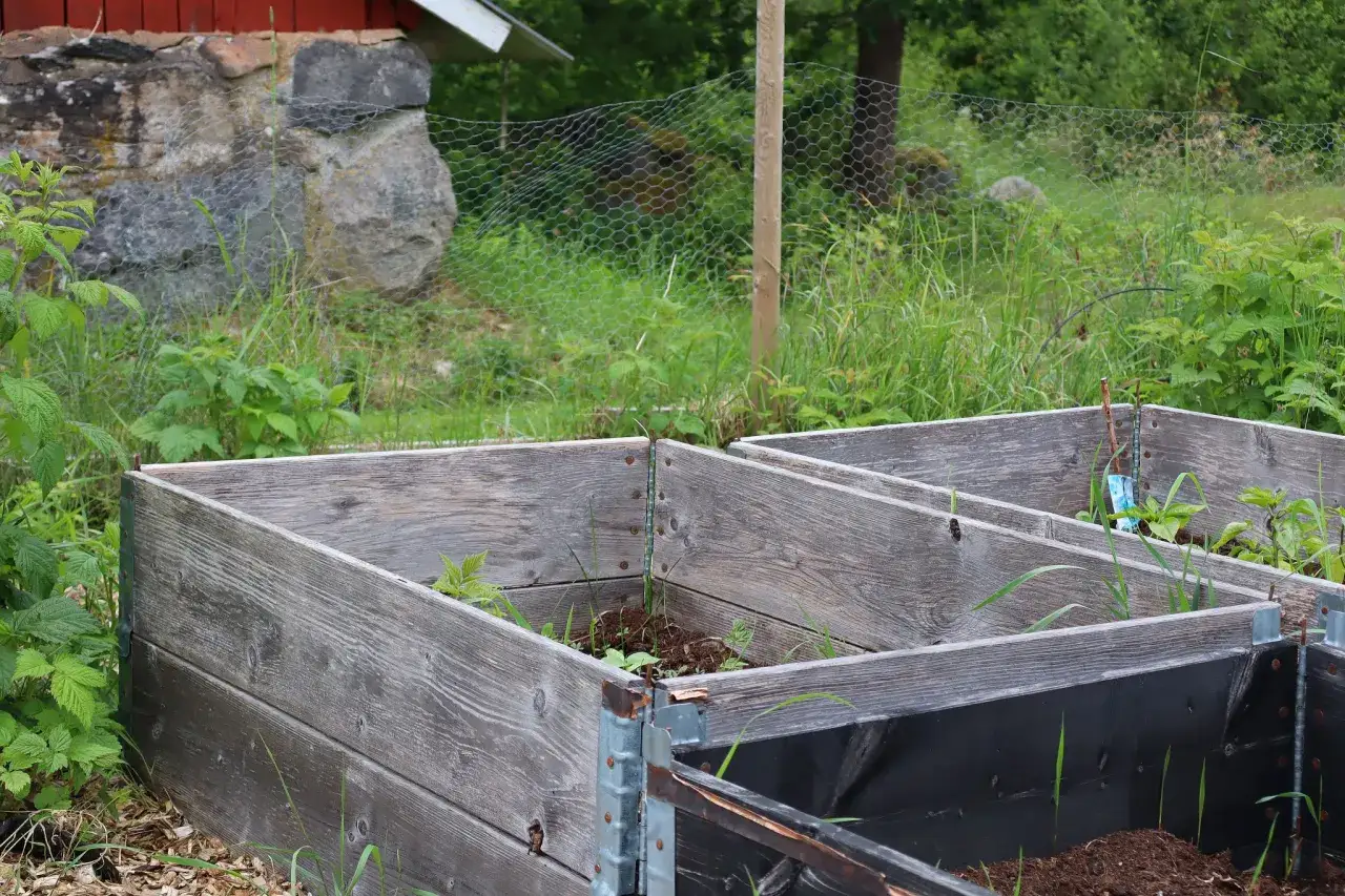 Tr&auml;odlingsl&aring;dor med unga plantor. En bok om odling skulle vara perfekt f&ouml;r att l&auml;ra sig mer om hur man f&aring;r dessa att v&auml;xa.