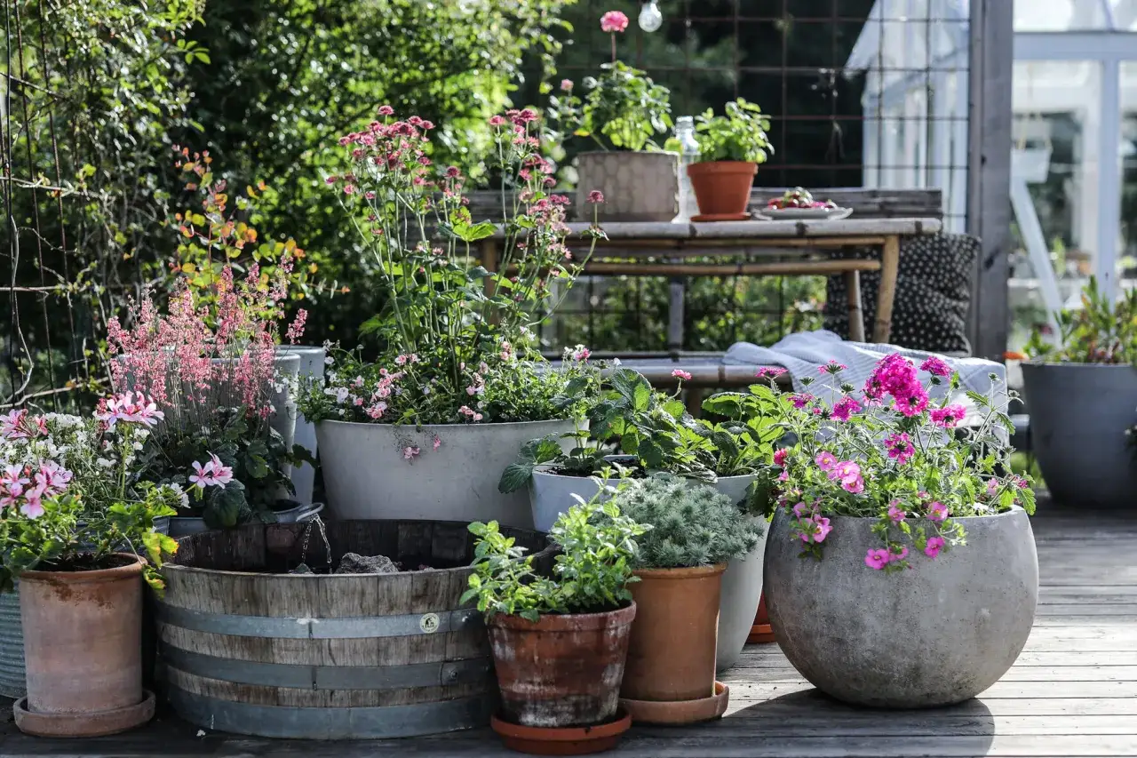 Vackra krukor utomhus inspiration med blommor i olika storlekar och material. En tr&auml;balja med vatten ger liv.