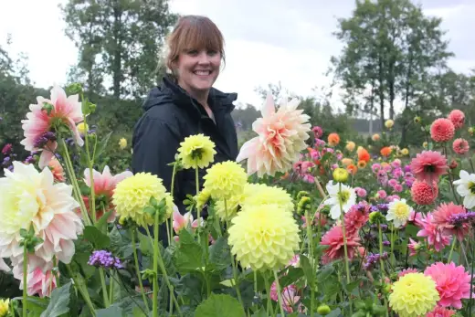 Aprilblommor i svensk trädgård - Så lyckas du i vår